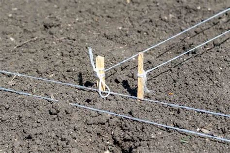 survey pegs bunnings|Survey Pegs Ultimate Guide: What, How & When .